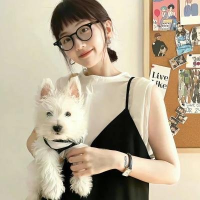 龙的传人
